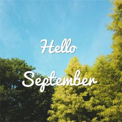 yabo888vip手机app下载截图