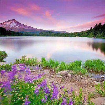 开元88ky游戏大厅