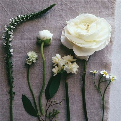 乐鱼体育下载手机版