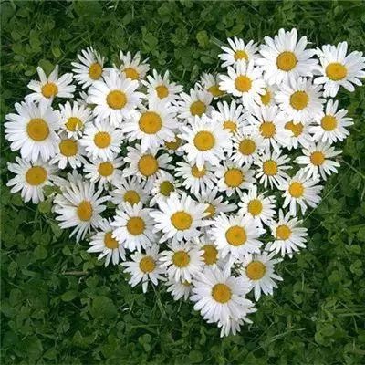 hth华体育(中国)官方入口下载手机版